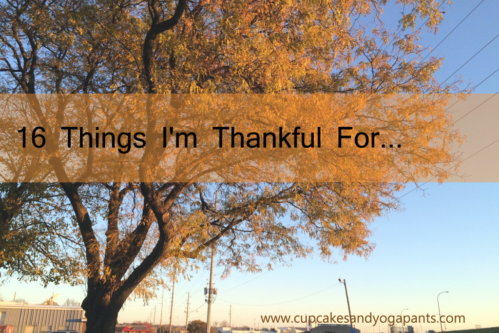 16 Things I'm Thankful For...